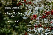 winter green tree with red berries photo by Ashley Joy Photography 